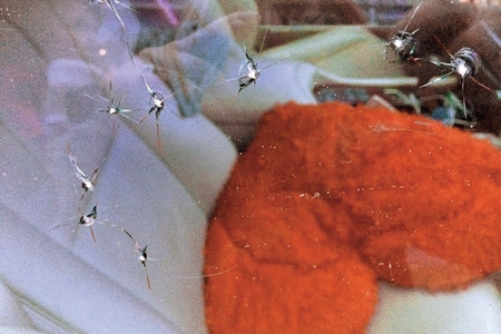 Анастасия Волочкова: «Я поборола страх благодаря новому мужчине» - «Интервью Звёзд»