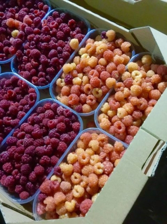 Необычная свадьба в Одессе: ведра мидий для прохожих и торт от невесты (фото)