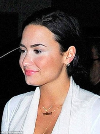 Американская певица опозорилась на глазах у поклонников (фото)