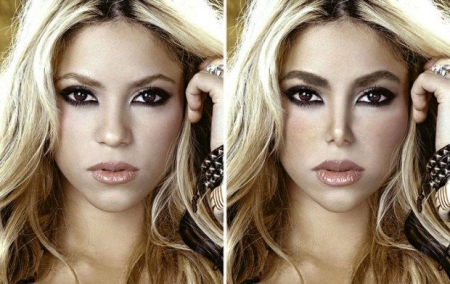 Как бы выглядели звезды шоу-бизнеса с одинаковой пластикой лица (фото)