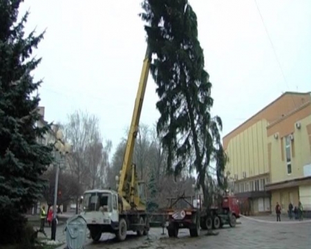 В Ровно устанавливают гигантскую 70-летнюю елку (фото,видео)